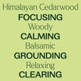 thumbnail image 4 of Plant Therapy Cedarwood Himalayan Essential Oil 30 mL (1 oz) 100% Pure, 4 of 8