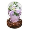 Toteaglile Creative Rose Flower LED Light Valentine's Day Gift Romantic Glass Rose Decoration