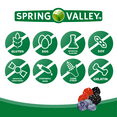 Spring Valley Vitamin K2 + D3 Vegetarian Gummies for Bone and Immune