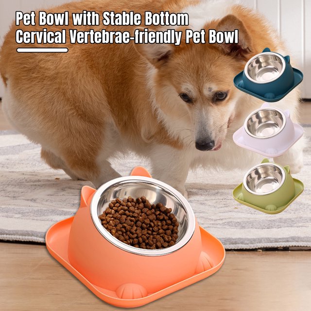 CBFFDC Appropriate Height Bowl Feeder Bowl Stable Base Round Corner Design Food Grade PP Easy to Clean Large Mouth Feeder Drinking Bowls for Cats Dogs