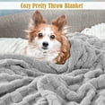 thumbnail image 5 of Deago Fall Throw Blanket for Couch - Cozy Soft Lightweight Fuzzy Blankets for Women Portable Fleece Throw Blankets for Bed Couch Sofa, 39"x59", Khaki, 5 of 9