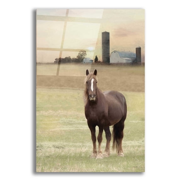 Epic Art 'Jackson Horse' by Lori Deiter Acrylic Glass Wall Art, 12"x16"