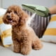 thumbnail image 5 of Guante 3 En 1 para Quitar Pelo de Mascotas, Cepillo para El Cuidado de Perros, Guante Eficaz para Quitar Pelo de Mascotas, Ideal para Sofás y Alfombras., 5 of 5