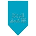 thumbnail image 6 of Pet and Dog Bandana Rhinestone, "It's All About Me", 6 of 10