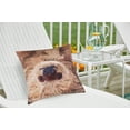 thumbnail image 4 of Sloth To Do Indoor/Outdoor Decorative Throw Pillow, 18" x 18", 4 of 7