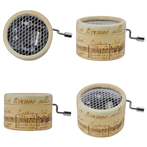 FESTFENDS Hand Crank Plays Plastic Music Box 1Pack for Children Adults Birthday Holiday Anniversary Wedding