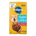 thumbnail image 2 of Pedigree Cachorro 20kg + Caja Pedigree Sobre Cachorro filete Res (12 Sobres), 2 of 5