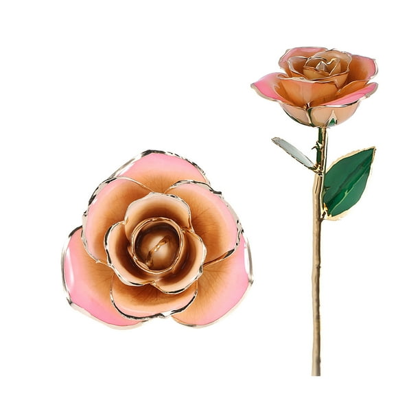 Rosa blanca de 24 quilates, regalo de oro, rosa eterna de tallo largo, rosa sumergida, regalo artesanal.
