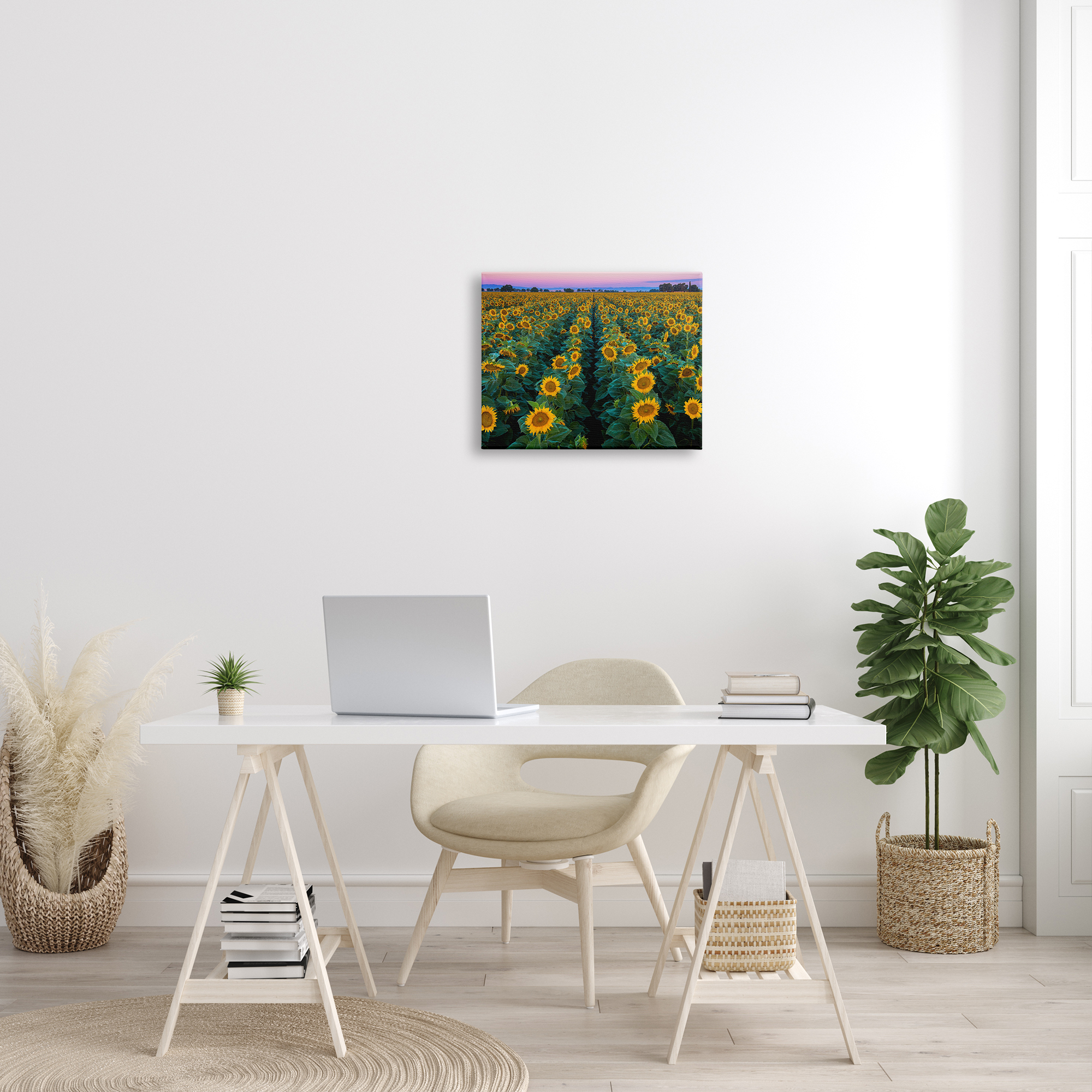 Stupell Industries Sunflower Field Rows at Sunset Farm Photography Botanical & Floral Painting Gallery Wrapped Canvas Print Wall Art, 16 x 20
