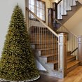 thumbnail image 2 of National Tree Company Arbre de Noël Artificiel de 10 Pieds, 2 of 6