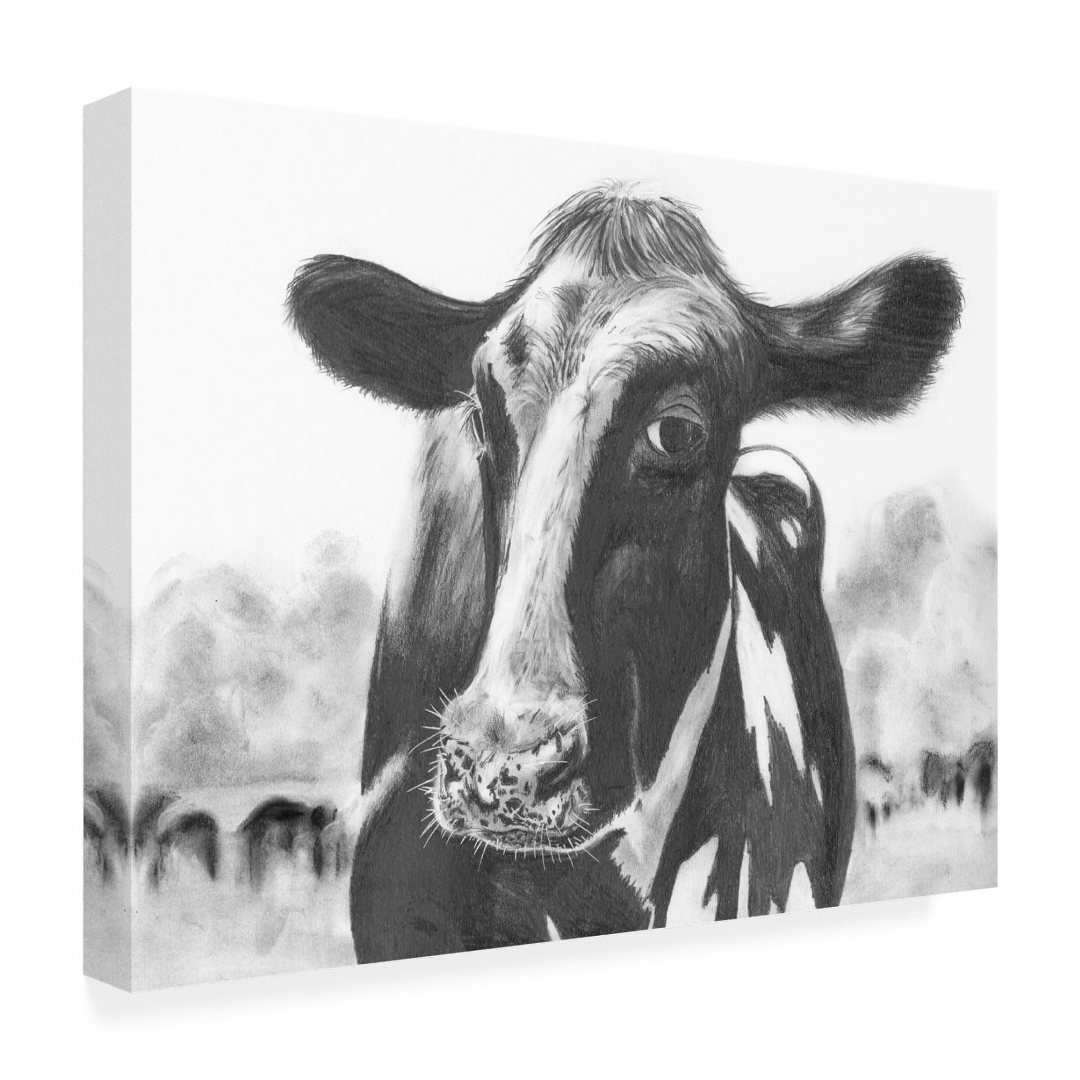 Trademark Fine Art Michael Willett  Holstein Perspective I Canvas Wall Art