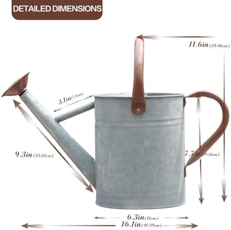 Metal Watering Can, One Gallon Watering Cans Stainless Steel for Outdoor Indoor Garden Plants Watering (Zinc 1 Gallon)