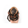 thumbnail image 2 of Tick Plush Toy, Plushy Stuffed Insect, Soft Pillow, Educational, Figure, Replica, Gift, 8" F4306 B323, 2 of 6
