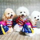 thumbnail image 5 of Disfraz de perro, colgante de nudo tradicional coreano, ropa bordada de seda para mascotas, vestido de Color para cachorros pequeños y gatos grandes, 5 of 5