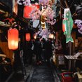 thumbnail image 3 of 2pcs Japanese Style Windsock Fish Shaped Windsock Flag Outdoor Yard Hanging Decoration, 3 of 7