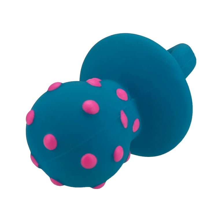 Dog 2025 pacifier walmart