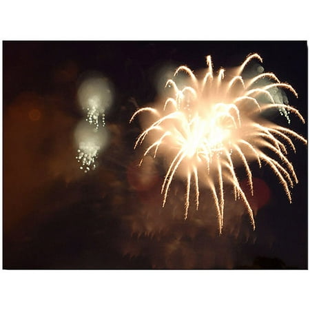 Trademark Art  Abstract Fireworks IV  Canvas Art by Kurt Shaffer Trademark Art  Abstract Fireworks IV  Canvas Art by Kurt Shaffer: Artist: Kurt Shaffer Subject: Landscape Style: Contemporary Product Type: Gallery-Wrapped Canvas Art