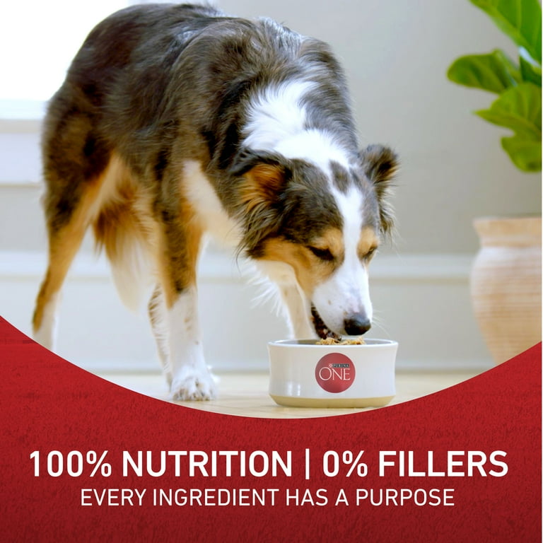 Walmart purina one dog cheap food