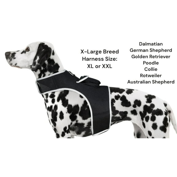 Secure Dogs Cats with Pet Tracker GSM GPS Phone Pet Tracker Realtime App Size:XL