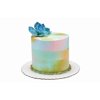 Watercolor Succulent Barrel Cake