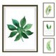 thumbnail image 1 of Calcomanías de pared nórdicas: hojas de plantas exóticas para la decoración de la sala de estar y el dormitorio Tropical Bliss, 1 of 8