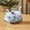 Cat Toys & Dog Toys Grey, variant on YaoZQ Interactive Electric Hamster Cat Toy, Grey Automatic Moving Mouse with Sound, Vibration Robotic Bug Toy for Indoor Cats, 2.2 inch