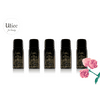 Oribe Thick Dry Finishing Spray 1.3oz (Pack of 5)