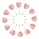 thumbnail image 1 of 12 Pcs Ramilletes de Rosa con Alfileres Unique Bargains Ceremonia de Boda Aniversario Cena Formal Fiesta Rosa Claro, 1 of 5