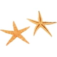 thumbnail image 3 of Starfish Assortment (30Pc) - Craft Supplies - 30 Pieces, 3 of 7