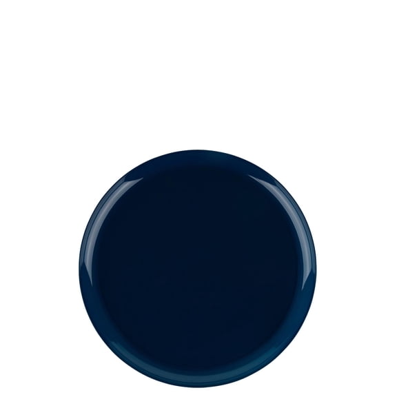 EcoQuality 6.3" inch Round Blue Disposable Plastic Plates - Heavy Duty Small Disposable Charger Dessert Plate Weddings, Serveware, China Like Salad Party Plates (10 Pack)