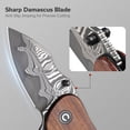 thumbnail image 5 of CIVIVI Gordo Folding Pocket Knife for EDC C22018C-DS1, 5 of 6