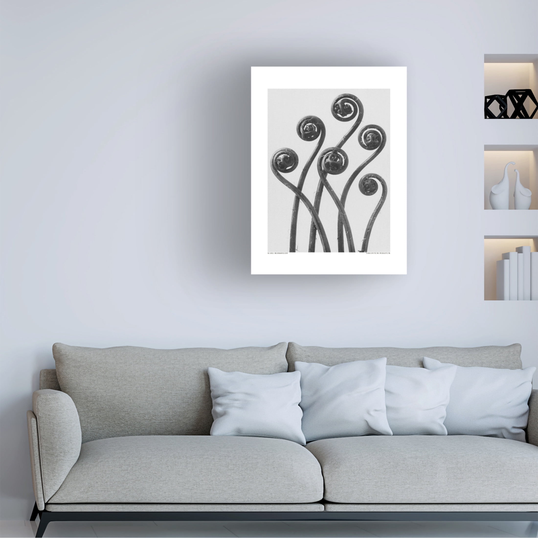 Trademark Fine Art Pictufy Adiantum pedatum Canvas Wall Art