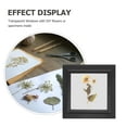 thumbnail image 4 of Miangastore Empty Display Specimen Frame Wooden Dried Flower Photo Frame DIY Wood Photo Display Frame, 4 of 8