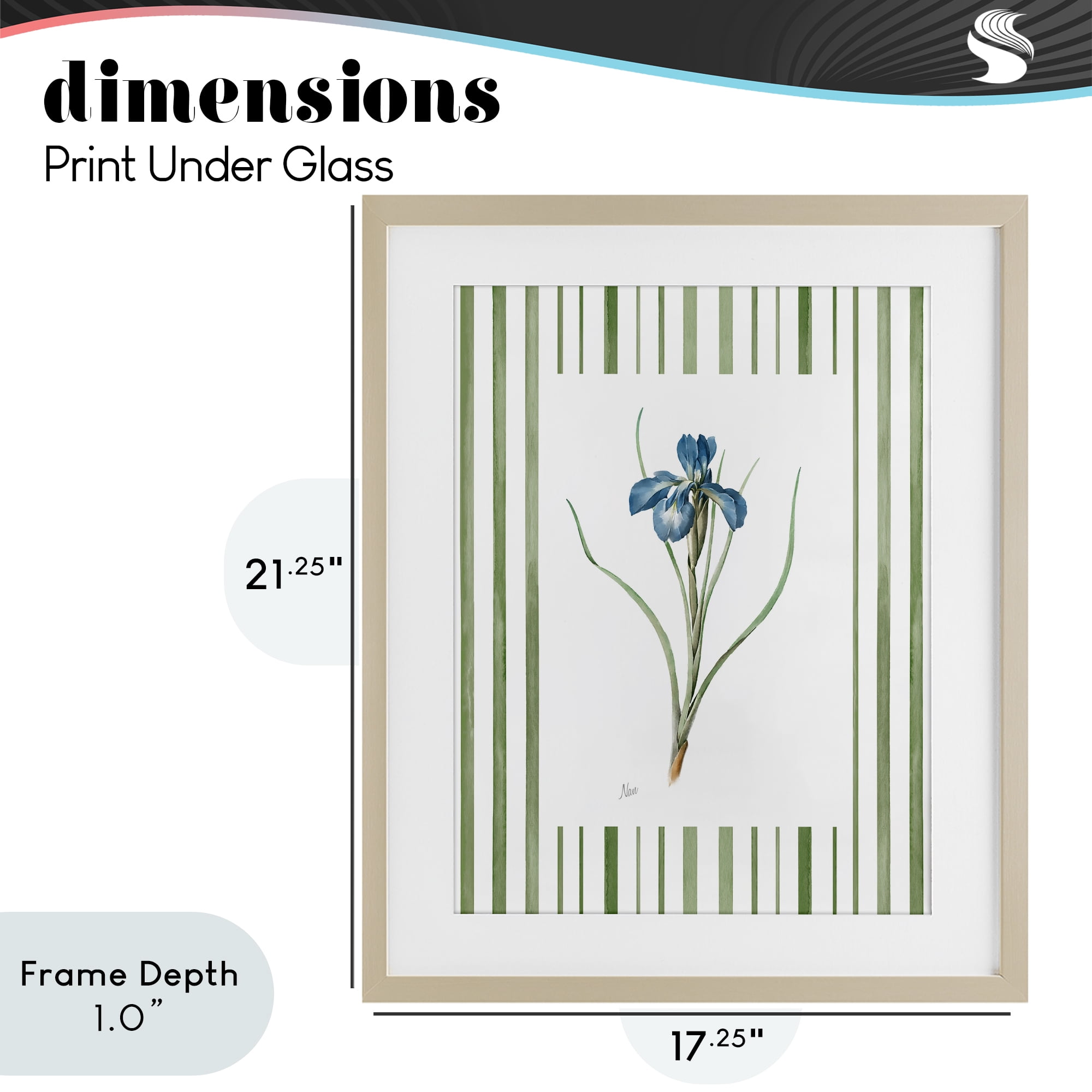 Stupell Industries Spring Iris And Stripes Birch Framed Print Under Glass, design by Nan