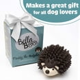 thumbnail image 7 of BellaBoo Pets Interactive Dog Toy for Strong Chewers - Freddy The Hedgehog All-in-One Treat Ball + Food Dispensing Slow Feeder Dog IQ Puzzle + Dental Chew Toy for Medium and Large Breed Dogs (Pink), 7 of 7