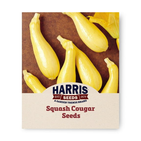 Harris Seeds - Squash Cougar F1 Seeds - Treated Variety - Fast Germination - 25 Seeds