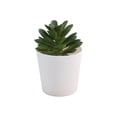 thumbnail image 2 of Eolstice Artificial Potted Plants, Fake Plastic Flowers with White Pots, Small Arrangement, Home Table Kitchen Bar Decor, Office Indoor Decoration, 2 of 6