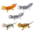 thumbnail image 5 of Original Bandai Gashapon Big Biological Map Big Gecko Lizard Simulation Animal Qversion Anime Model Toy Gift Collection Ornament, 5 of 5