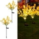 thumbnail image 1 of CaiYueKe Solar Rapeseed Flower Garden Lights, Outdoor Solar Powered LED Lamp for Yard Patio Pathway Landscape, Warm White Decorative Lighting, Stainless Steel Stake, 1 of 6