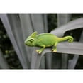 thumbnail image 3 of Hi Line 7” Cameleon Garden Statue, Realistic Polyresin Design, 3 of 5