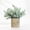 A001- A, variant on Plant Decor, Small Fake Plant, Artificial Plant, Faux Greenery, 10X9 Inch Potted Rosemary Style Faux Greenery in Textured Cylindrical Small Pot for Tabletop Shelf and Countertop