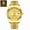All gold, variant on Classic Reloj for Men – Waterproof Business Watch with Date & Luminous Display