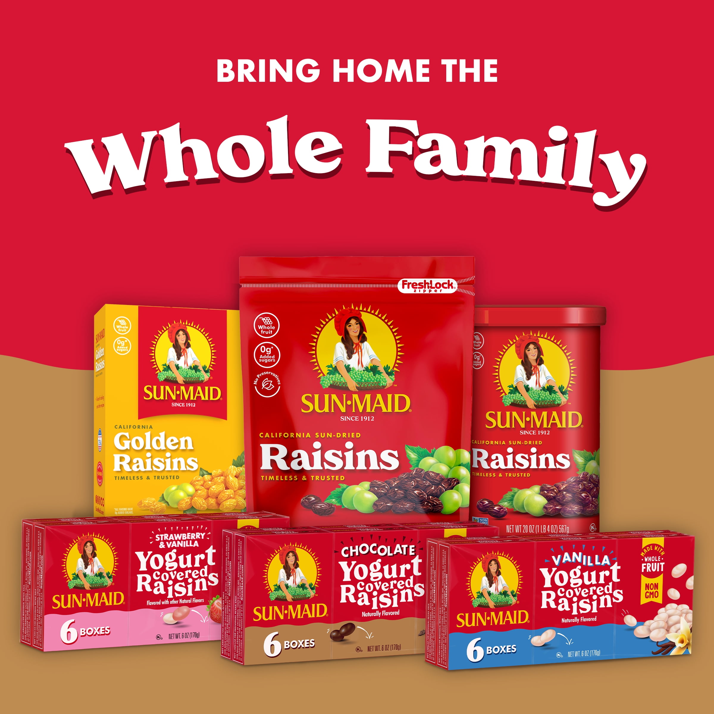 Sun-Maid Chocolate Yogurt Covered Raisins 6-Pack 1oz Cartons, Kids