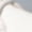White Upgrade Version, variant on Men' Chunky Platform Sneakers for Casual Wear (Chunky Sole for Height) - New Arrival) with Upper & PVC Sole - Low-Top Lace-Up All-Season Streetwear, Minimalist Urban Footwear