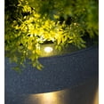 thumbnail image 6 of Evergreen Outdoor Fiberglass Planter with Solar Lights, Dark Grey 15x15x16 in, 6 of 7