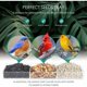 thumbnail image 4 of Comedero para pájaros de ventana con fuertes ventosas, adecuado para cardenales, pinzones, carboneros, etc., 4 of 5