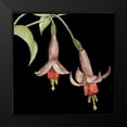 thumbnail image 2 of Goldberger, Jennifer 20x20 Black Modern Framed Museum Art Print Titled - Graphic Fuchsia IV, 2 of 5
