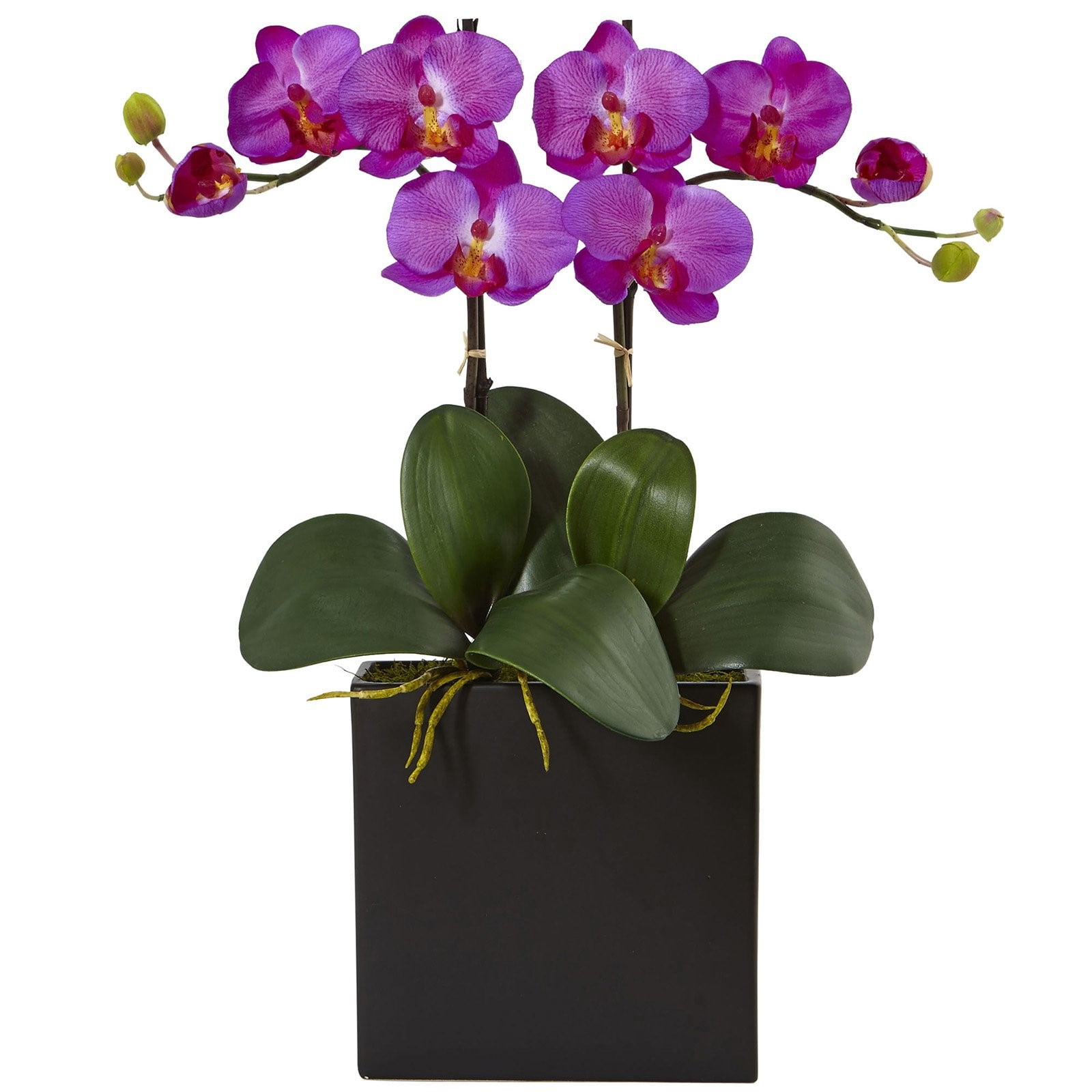 Nearly Natural Double Mini Phalaenopsis Silk Orchid in Black Vase