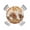 Light Brown Light Beige, variant on nqOlkjepod Welcome Fall Squirrel Round Tablecloth, Fitted Table Cover with Elastic for 36"-44" Round Tables, Thanksgiving Botanical Plaid Table Cloth Outdoor Dinning Party Waterproof Tablecloths