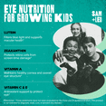 thumbnail image 5 of SAM+LEO Eye Vitamin Gummies with Lutein & Zeaxanthin for Kids & Teens - Eye & Vision Health Support Supplement Gummies + Vitamins A, E, & C | Vegan & Gluten Free Supplement - Orange Flavor (60 ct), 5 of 8